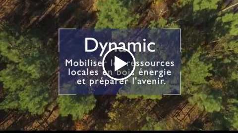 Dynamic Nouvelle-Aquitaine : mobiliser localement le bois énergie